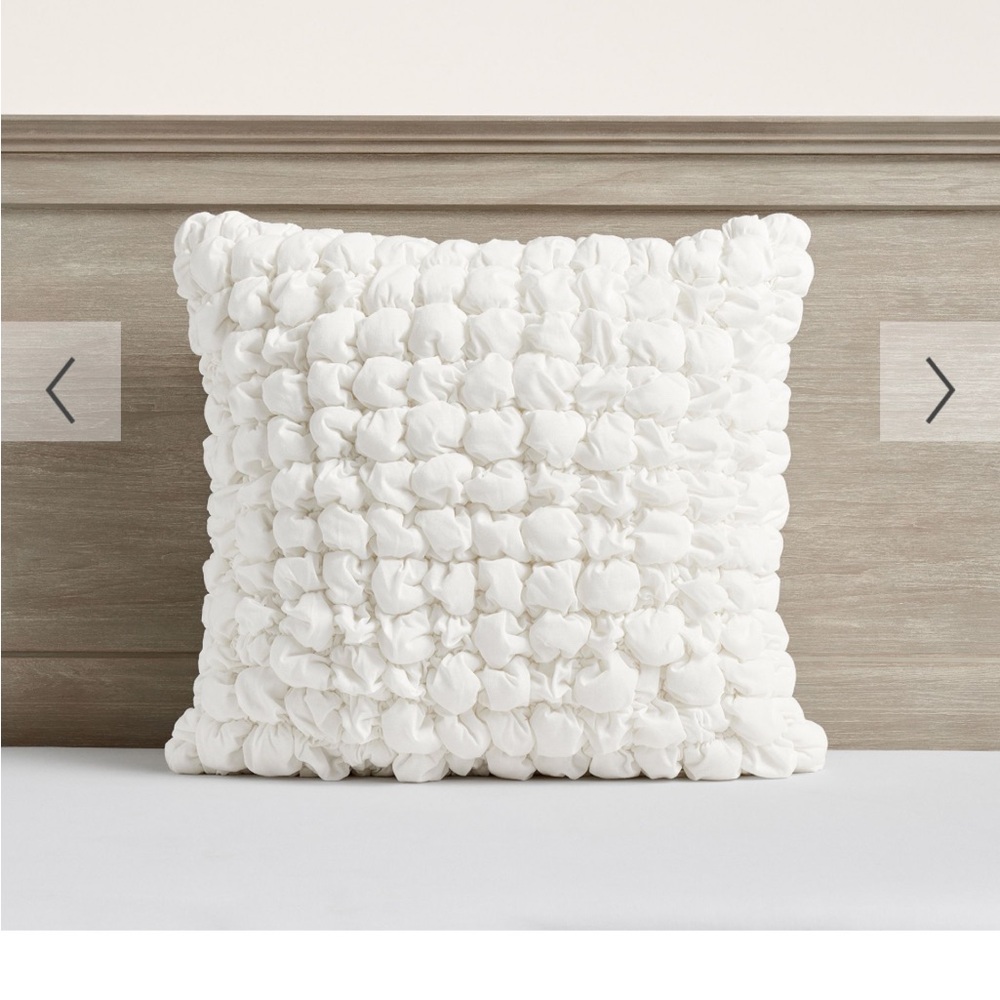 Pottery Barn Teen Marshmallow Euro Sham in Ivory